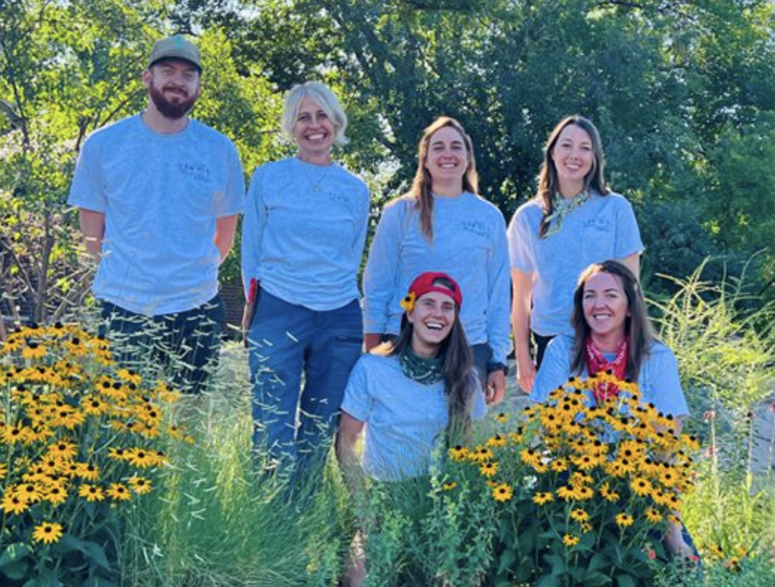 Professional outdoor hardscape and landscape installation